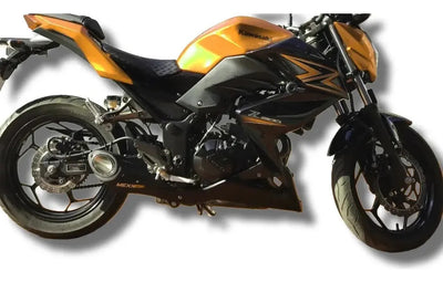 Kawasaki Z300